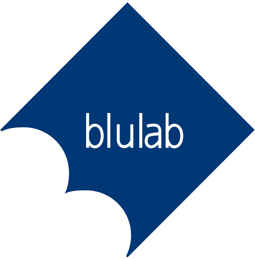 Blulab - Ente di Formazione | Accreditato Regione Campania